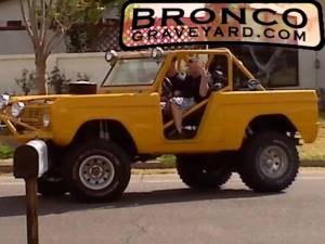 Our bronco
