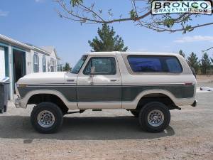 My first bronco