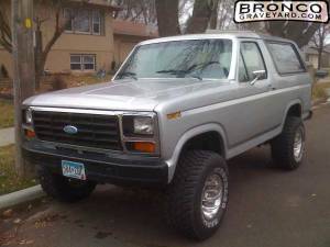My 82 bronco
