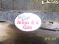 trailer hitch cover