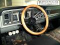 Grant steering wheel &amp; gauges