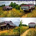 1980 f250 custom